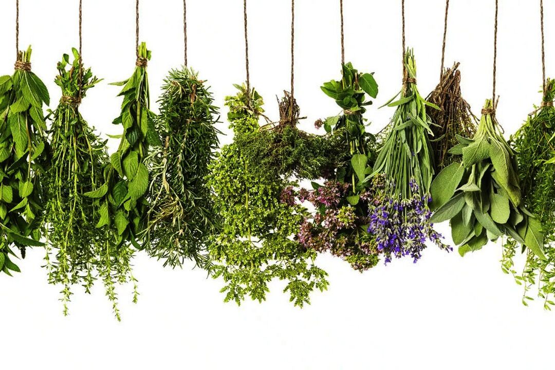 Eroboost'taki tropikal bitki özü